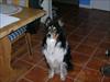 Thumbnail of Photo Number 140