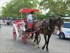 Thumbnail of Photo Number 169